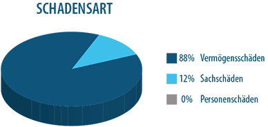 Hauptrisiko Vermögensschaden Hauptrisiko Vermögensschaden